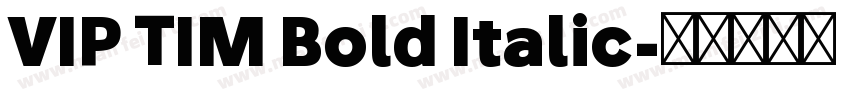 VIP TIM Bold Italic字体转换